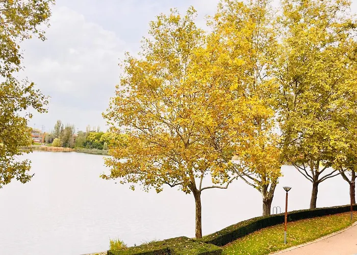 Charmant Et Cosy Appartement A Creteil Lac