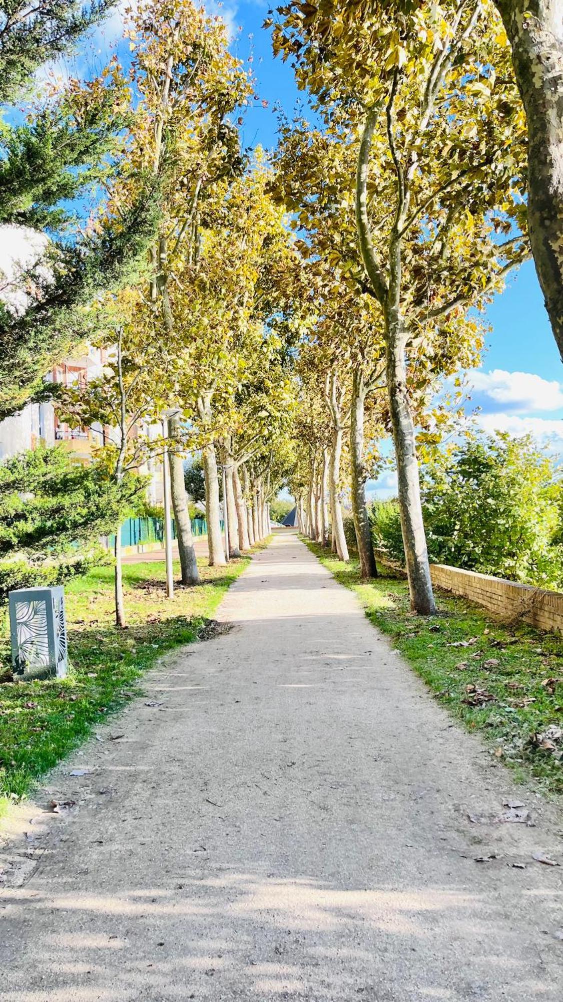 Et Cosy A Créteil